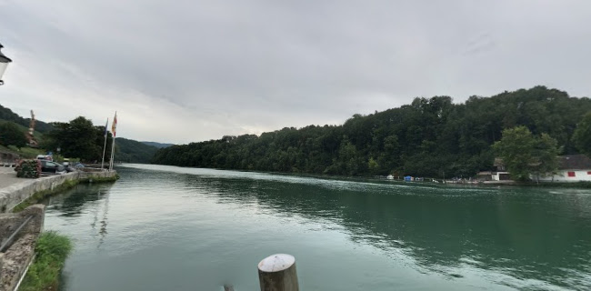 Motorbootfahrschule Züri-Rhy - Neuhausen am Rheinfall