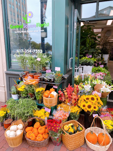 Florist «Central Square Florist», reviews and photos, 653 Massachusetts Ave, Cambridge, MA 02139, USA