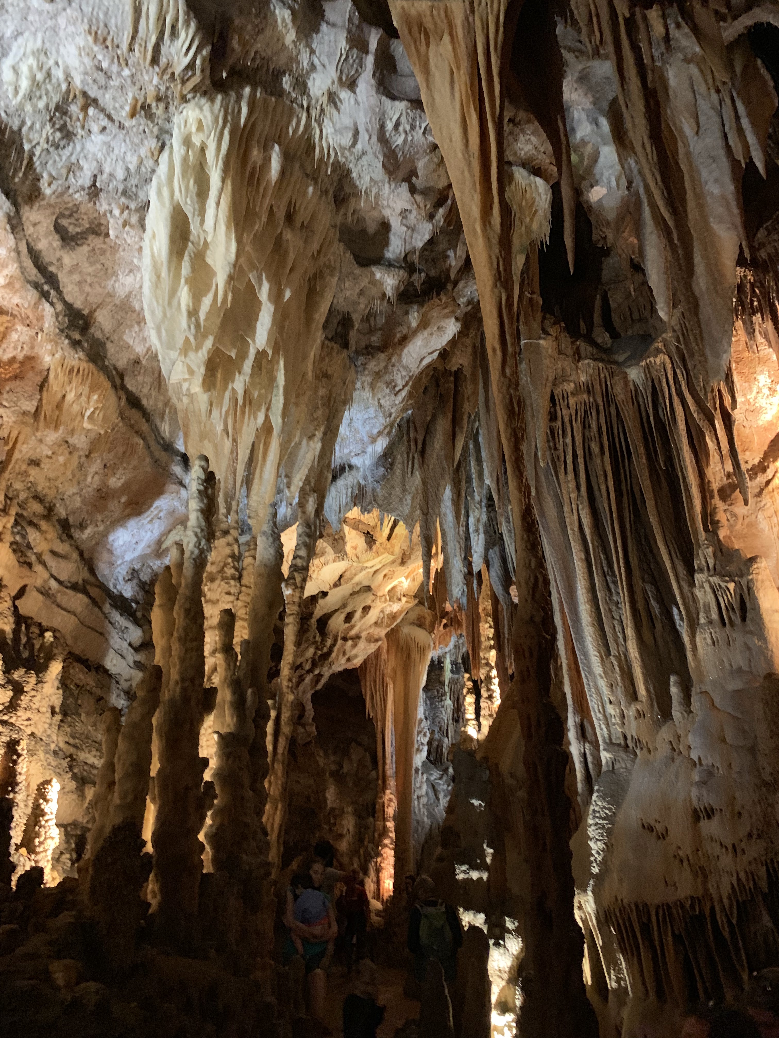 Photo n° 13 de l'avis de Lionel. fait le 10/08/2019 à 20:49