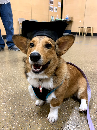 Pet Supply Store «PetSmart», reviews and photos, 857 N Val Vista Dr #106, Gilbert, AZ 85234, USA