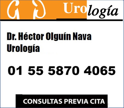 Dr. Héctor Olguín Nava