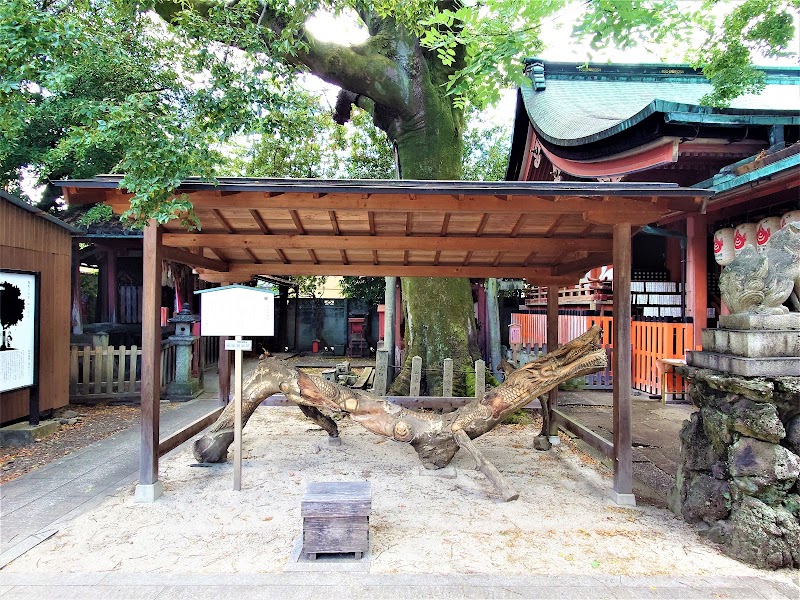 武信稲荷神社のエノキ