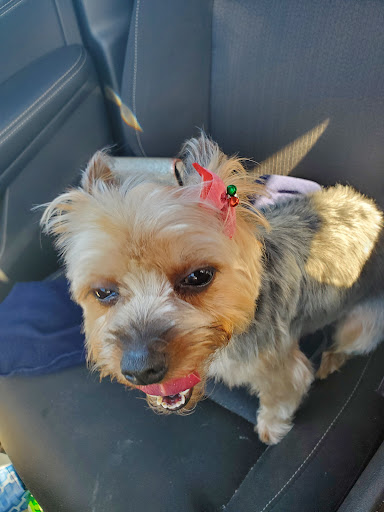 Pet Supply Store «PetSmart», reviews and photos, 1759 Apalachee Pkwy, Tallahassee, FL 32301, USA