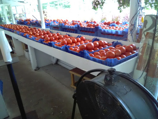 Grocery Store «Red Top Farm Market», reviews and photos, 1801 NJ-70, Southampton Township, NJ 08088, USA