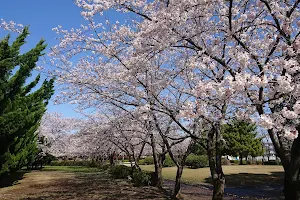 Ichinowari Park image