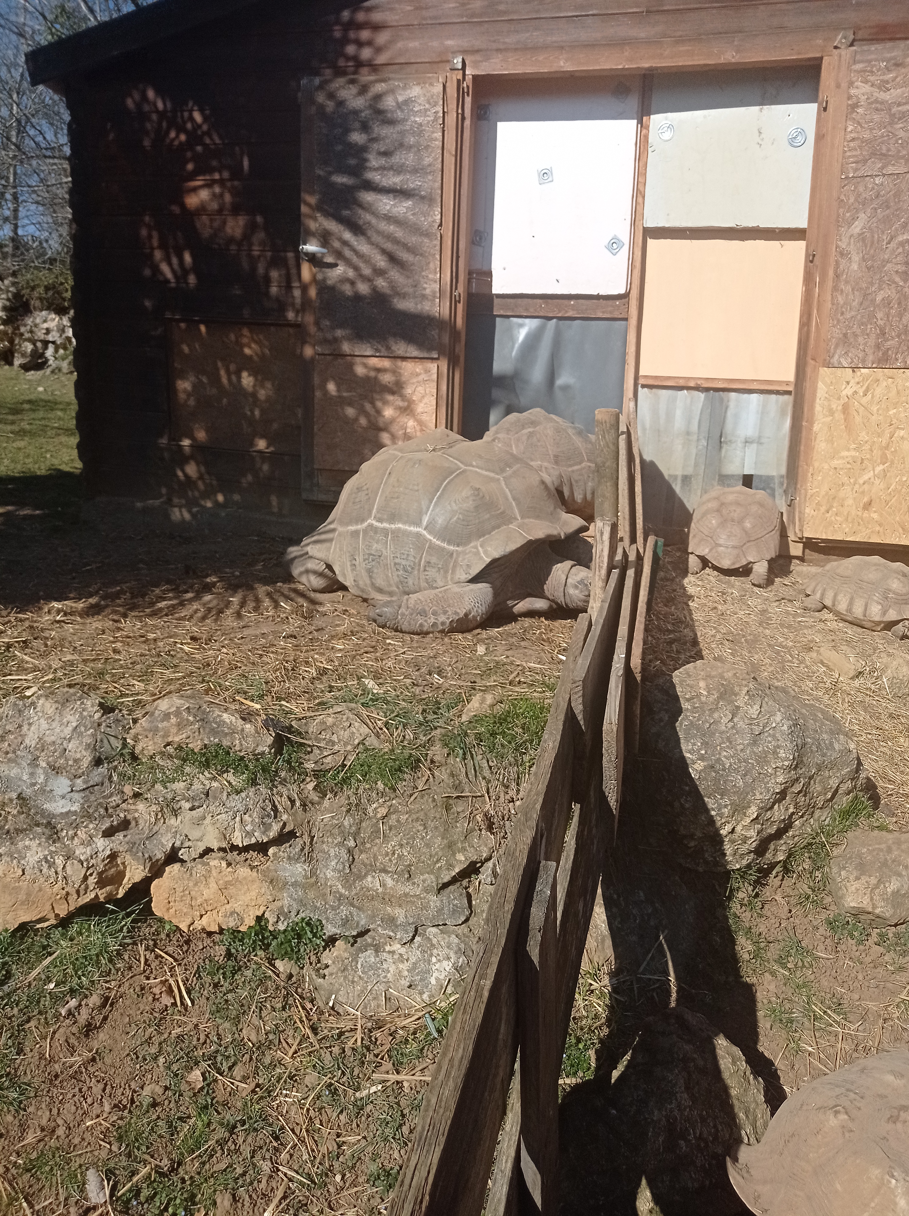 Photo n° 3 de l'avis de maud.a fait le 17/02/2023 à 16:44