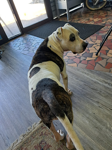 Explore amanda name tattoo ideas, creative tattoo ideas in Jonesboro, available at Immortal Ink