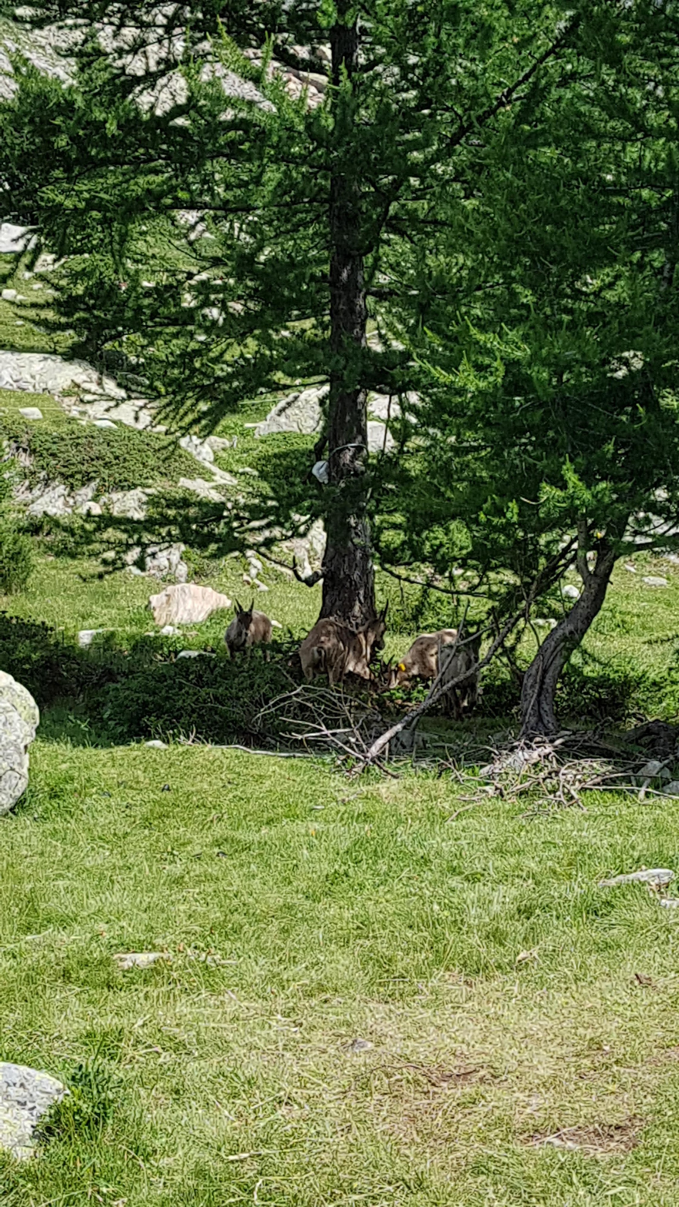 Photo n° 5 de l'avis de veronique.a fait le 19/07/2019 à 14:23