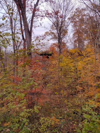 Nature Preserve «Jug Rock Nature Preserve», reviews and photos, Albright Ln, Shoals, IN 47581, USA