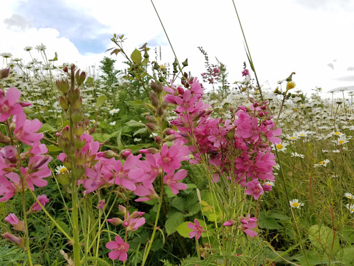 Park «Powell Butte Nature Park», reviews and photos, 16160 SE Powell Blvd, Portland, OR 97236, USA