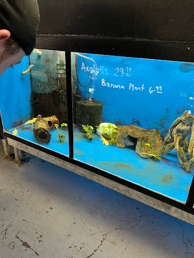 Pet Store «Sierra Fish and Pets», reviews and photos, 601 S Grady Way Suite M, Renton, WA 98057, USA