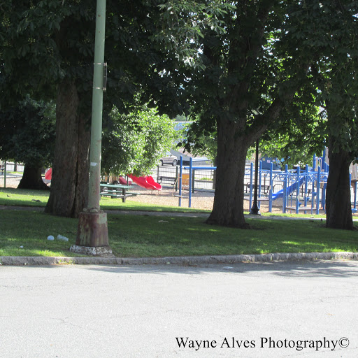 Park «Clasky Common Park», reviews and photos, Purchase St, New Bedford, MA 02740, USA