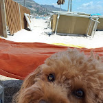 Photo n°5 de l'avis de Pasquale.s fait le 31/07/2019 à 22:09 sur le  Lido Playa Sole Luna à Mazzeo