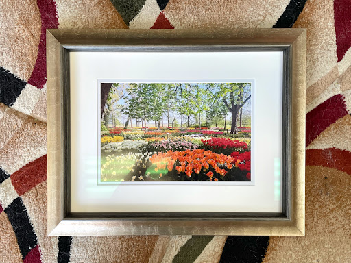 Picture Frame Shop «Home Port Gallery», reviews and photos, 6170 US-41, Apollo Beach, FL 33572, USA