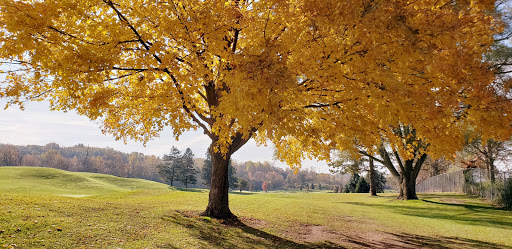Golf Course «​​​​​Leslie Park Golf Course», reviews and photos, 2120 Traver Rd, Ann Arbor, MI 48105, USA