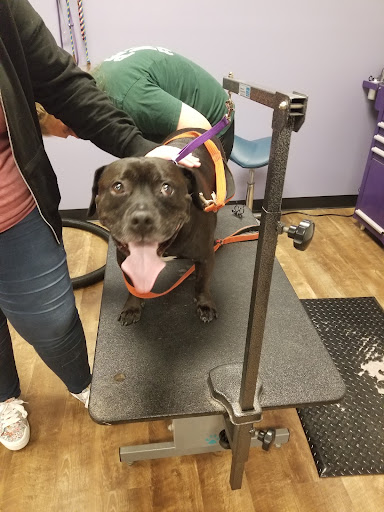 Pet Supply Store «EarthWise Pet Panama City», reviews and photos, 632 W 23rd St, Panama City, FL 32405, USA