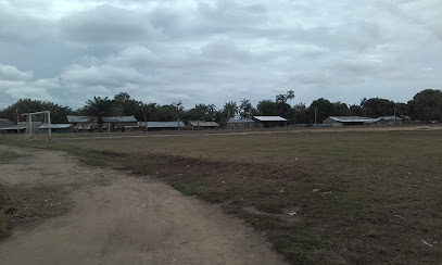 Estadio comunidad paujil
