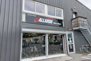 Gallardo Bike Shop image