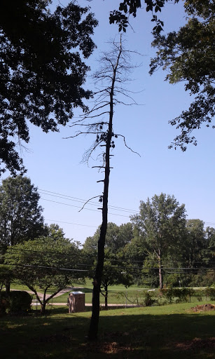 Country Club «Milburn Golf & Country Club», reviews and photos, 7501 W 69th St, Overland Park, KS 66204, USA