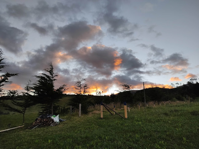 Opiniones de Hda. Bellavista - Aventura Pichincha en Quito - Camping