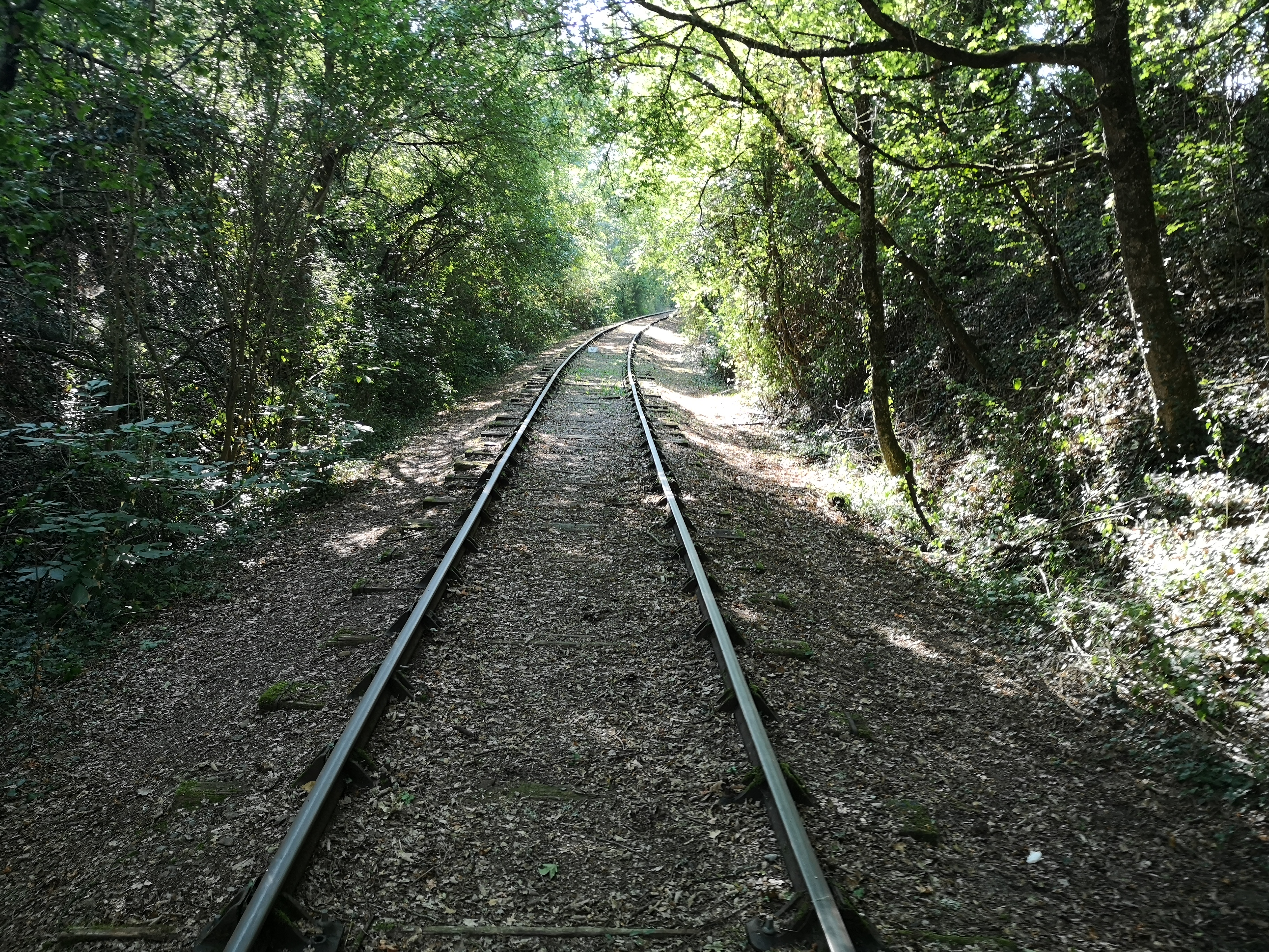 Photo n° 1 de l'avis de Xavier. fait le 15/08/2022 à 20:42