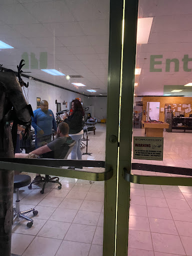 Explore forearm tree tattoo ideas, creative tattoo ideas in Lake Wales, available at Body Armor Tattoo & Piercings