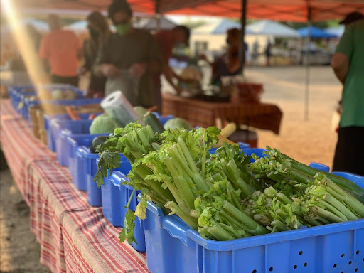 Farmers Market North Scottsdale