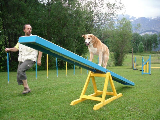 Hundesport Lenk - Montreux