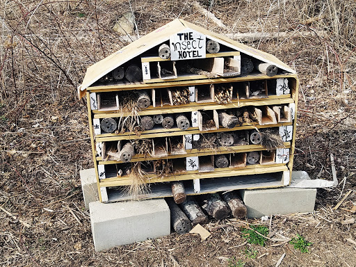 Educational Institution «The Audubon Society of Rhode Island Environmental Education Center», reviews and photos, 1401 Hope St, Bristol, RI 02809, USA