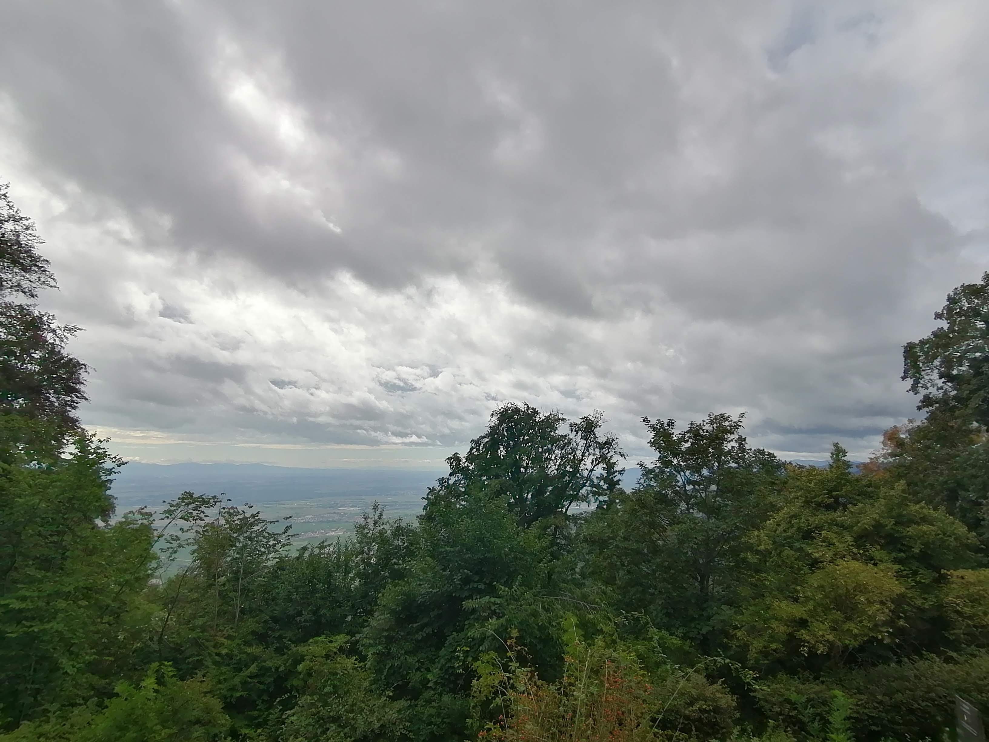 Photo n° 9 de l'avis de Bertrand.e fait le 01/09/2023 à 18:15