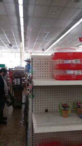 Dollar Store «Dollar Tree», reviews and photos, 1350 S Park Victoria Dr #10, Milpitas, CA 95035, USA