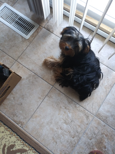 Pet Supply Store «Petco Animal Supplies», reviews and photos, 17930 Halsted St, Homewood, IL 60430, USA