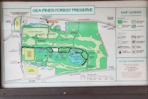 Sea Pines Forest Preserve image