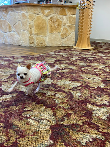 Eye Care Center «Creative Eyewear», reviews and photos, 844 N Walnut Ave, New Braunfels, TX 78130, USA