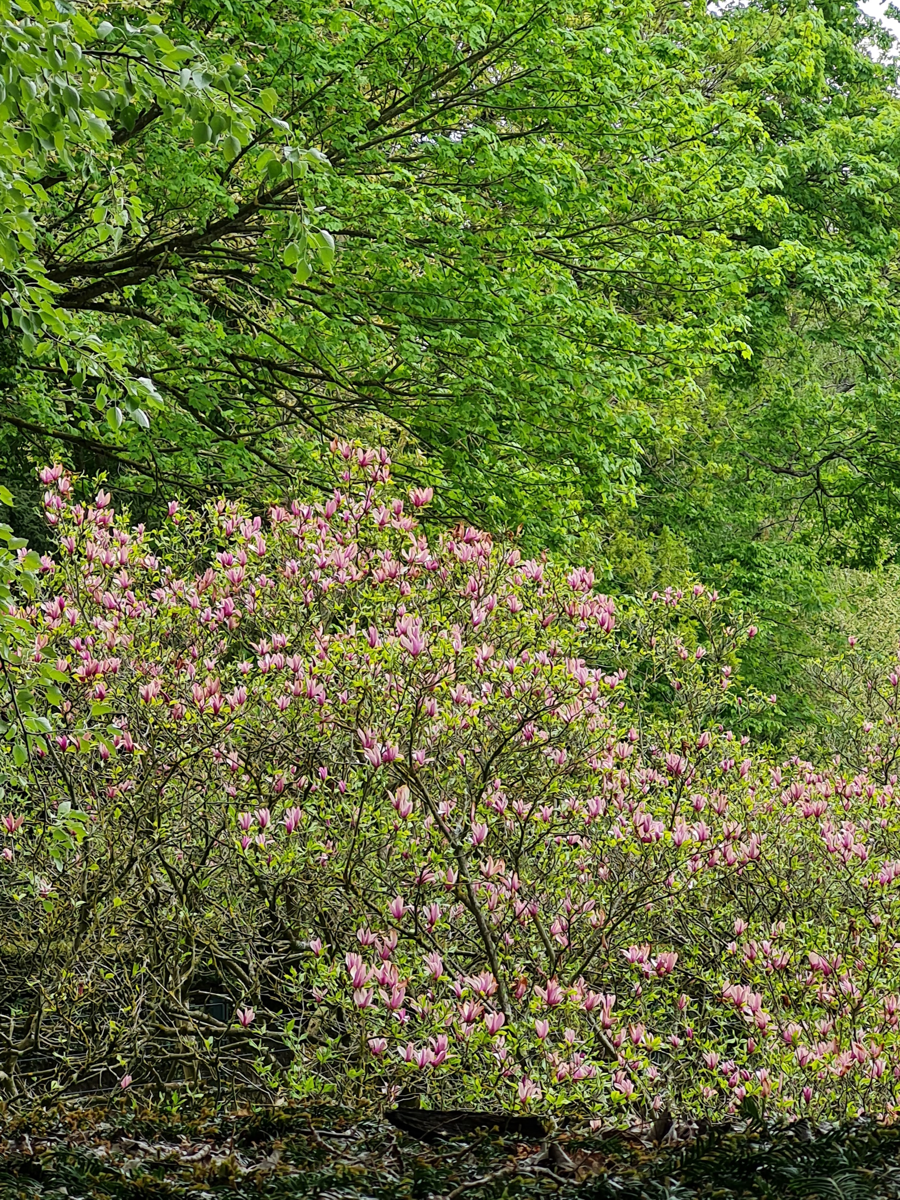 Photo n° 2 de l'avis de Murielle.a fait le 29/04/2021 à 18:58