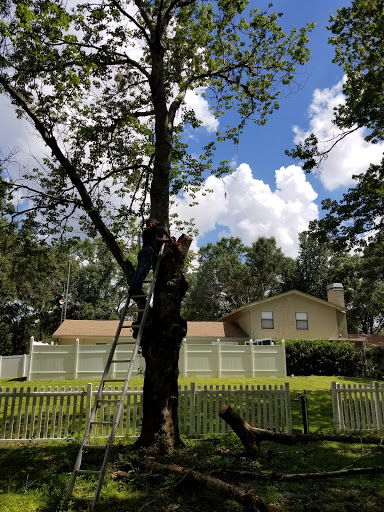 Public Golf Course «Quail Hollow Golf Course», reviews and photos, 6225 Old Pasco Rd, Wesley Chapel, FL 33544, USA