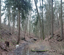 Foxtrail Nürnberg photo
