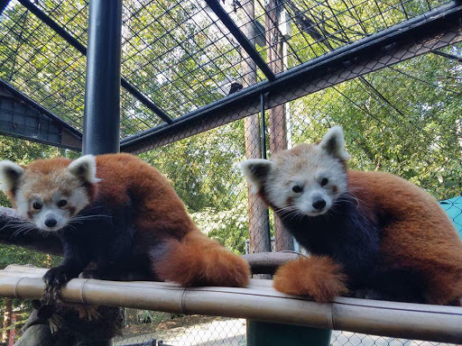 Zoo «Brandywine Zoo», reviews and photos, 1001 N Park Dr, Wilmington, DE 19802, USA