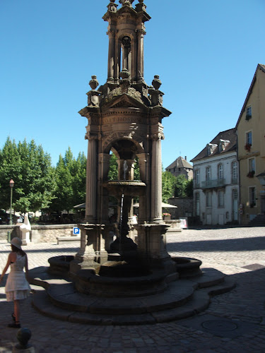 Fontaine Saint-Lazare à Autun