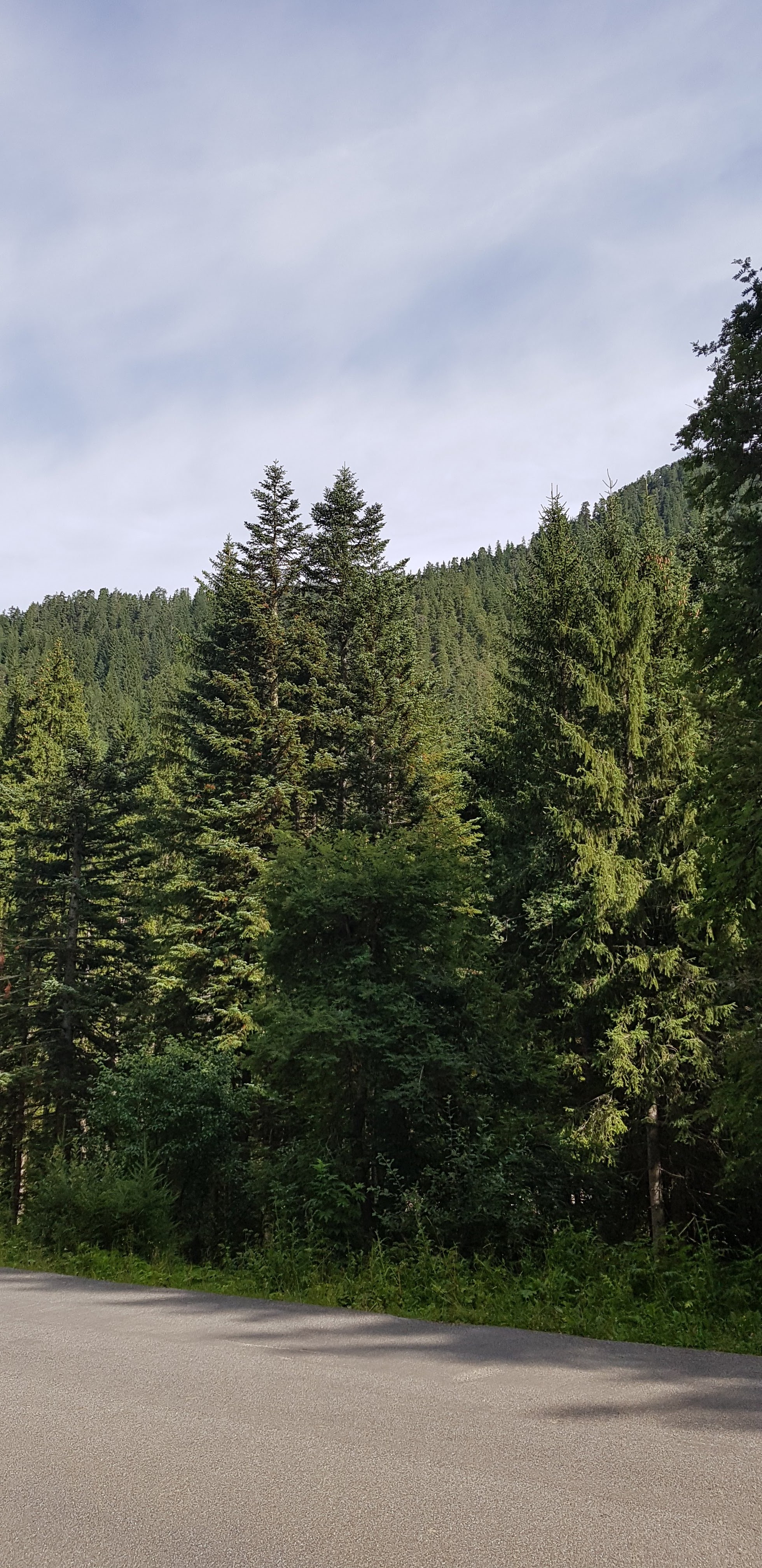 Photo n° 6 de l'avis de Denny.a fait le 23/08/2019 à 07:52