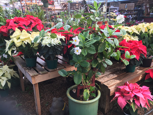 Plant Nursery «Sturtz & Copeland Florist & Greenhouses», reviews and photos, 2851 Valmont Rd, Boulder, CO 80301, USA