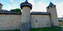 Château Comtal du Restaurant français L'Ostal à Carcassonne - n°4