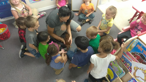 Learning Center «Little Sunshine Preschool & Learning Center», reviews and photos, 9316 Little Rd, New Port Richey, FL 34654, USA