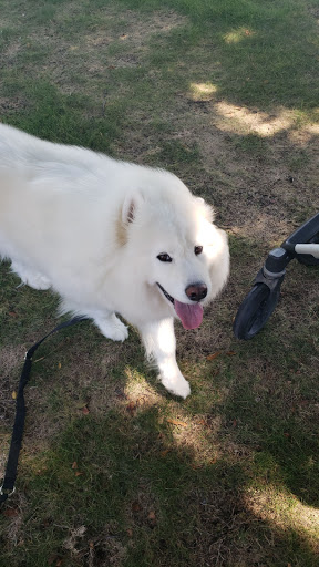 Park «Neighborhood Park - Frank Beverly Park», reviews and photos, 7112 Quarry Chase Trail, Plano, TX 75025, USA