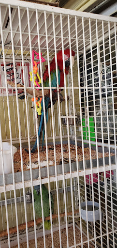 Pet Store «Pet Source 1901», reviews and photos, 1901 W 8th St B, Los Angeles, CA 90057, USA