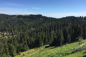 Paşakonağı Yaylası