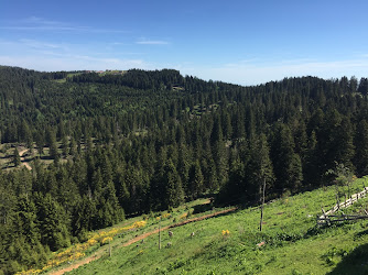 Paşakonağı Yaylası