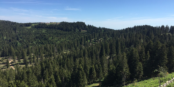 Paşakonağı Yaylası