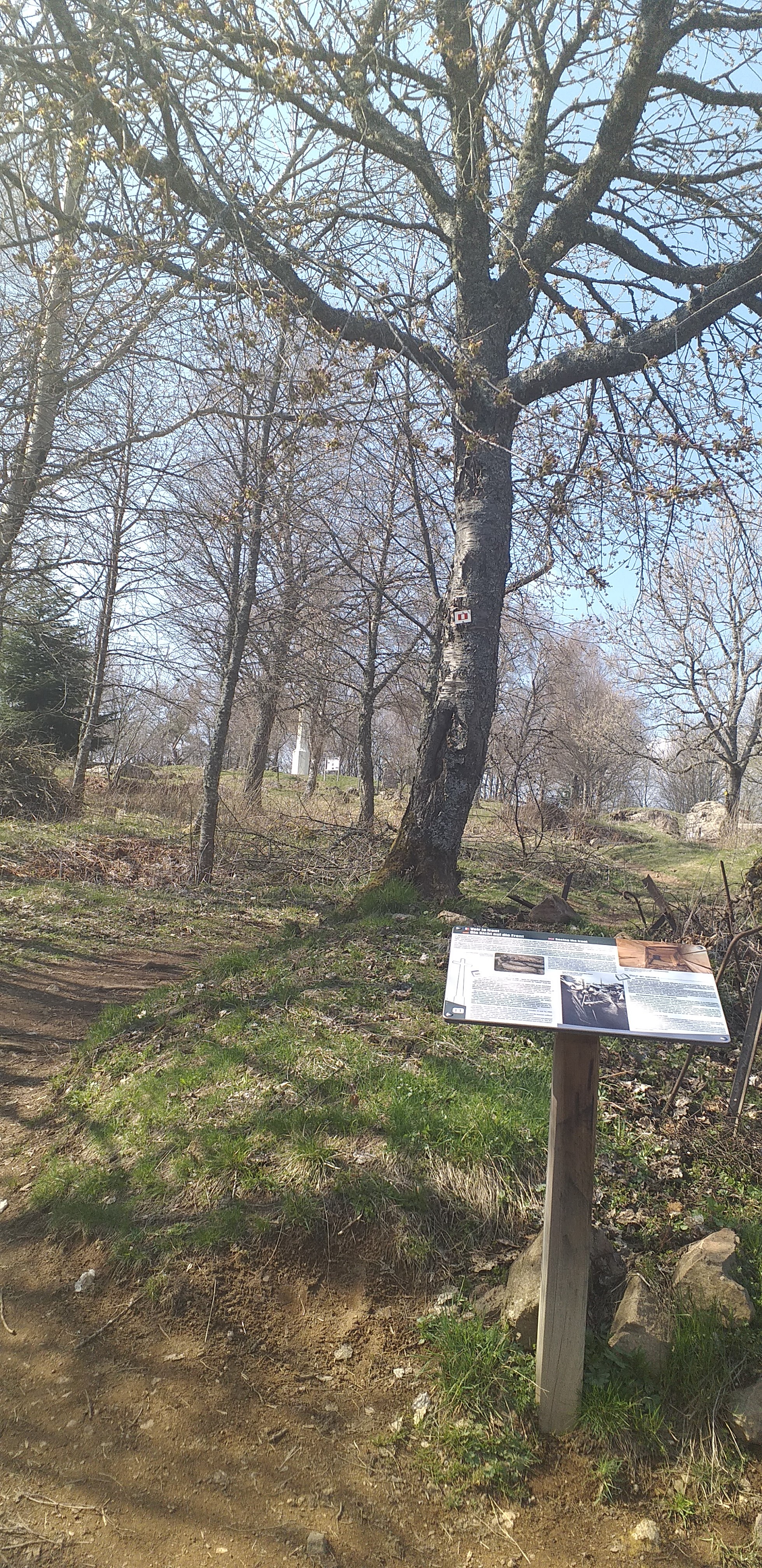 Photo n° 6 de l'avis de Stéphanie.e fait le 15/04/2019 à 14:42