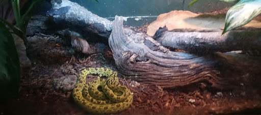 Zoo «Dallas Zoological Society», reviews and photos, 650 S R L Thornton Fwy, Dallas, TX 75203, USA